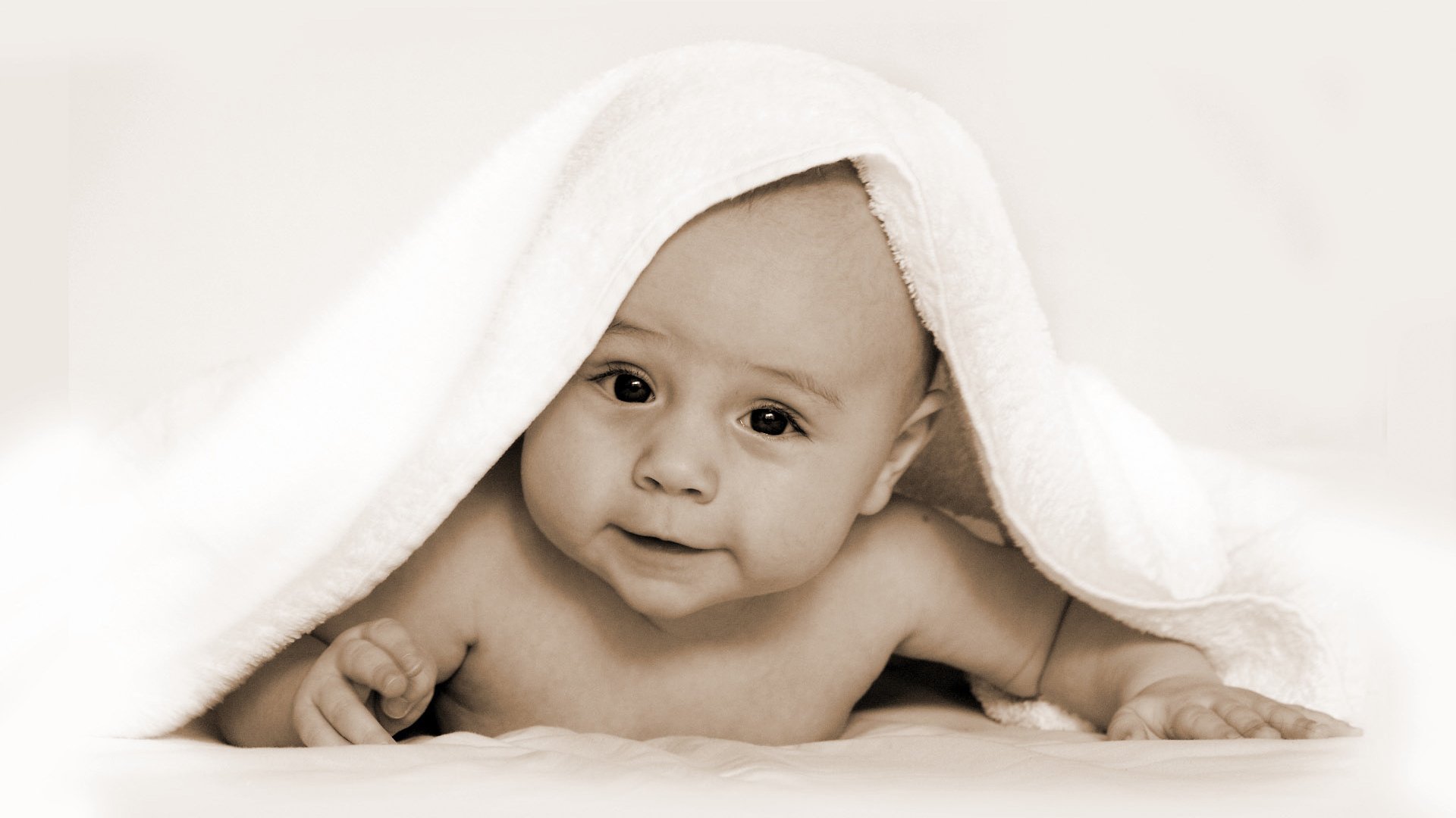 石家庄供卵联系方式在美国试管婴儿成功率